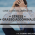 COME SUPERARE LO STRESS CHE TI FA INGRASSARE SE SEI UN UOMO CON PIÙ DI 40 ANNI